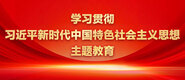 被大肌爆肏的视频学习贯彻习近平新时代中国特色社会主义思想主题教育_fororder_ad-371X160(2)